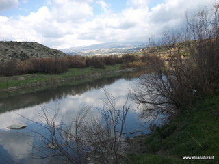 Salinelle_del_Simeto - 17-02-2013 12-07-18.JPG